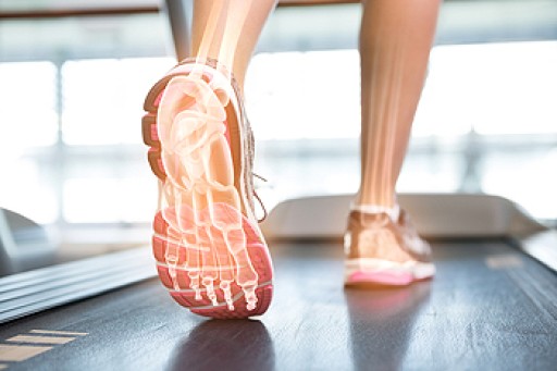 The Feet Are Complex, and Have Several Categories
