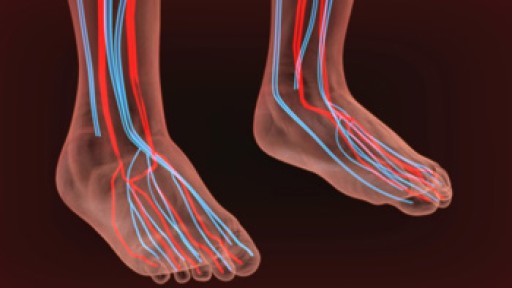 Causes Symptoms and Treatment for Poor Circulation in the Feet